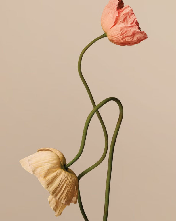 How Does Plated Jewelry Affect the Environment?