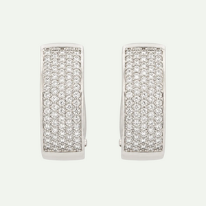 Glittering White Zircon  Earrings